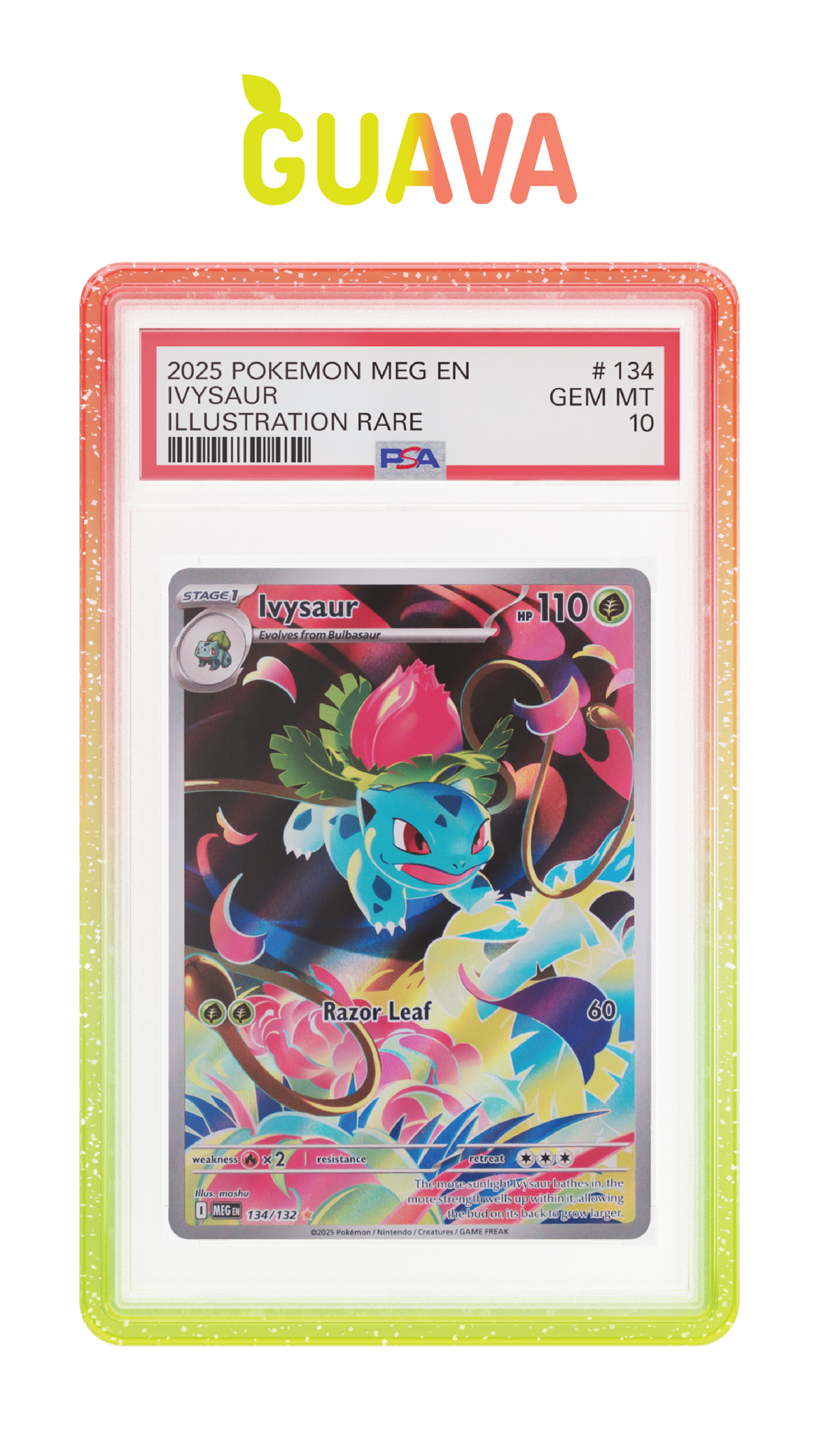 Graded Guard Limited Edition(s)